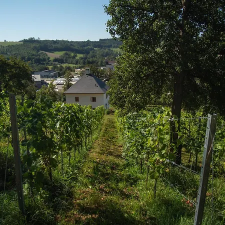 Semesterbostad Trattnachtaler Weinhaus Schlusslberg