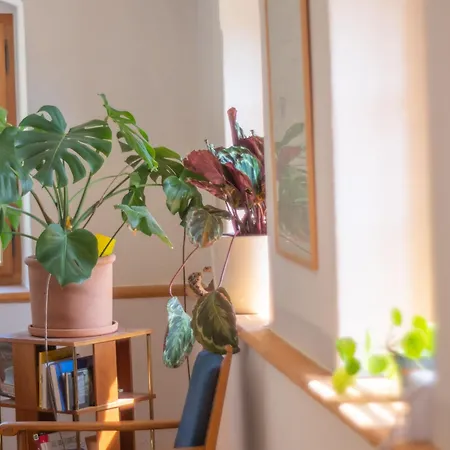 Trattnachtaler Weinhaus *