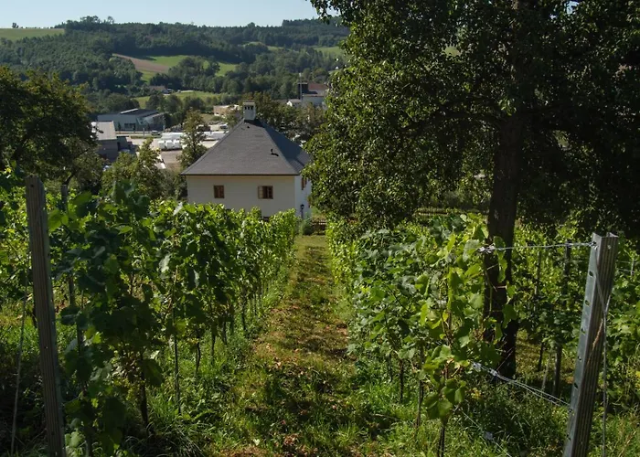 Ferienhaus Trattnachtaler Weinhaus Schlusslberg