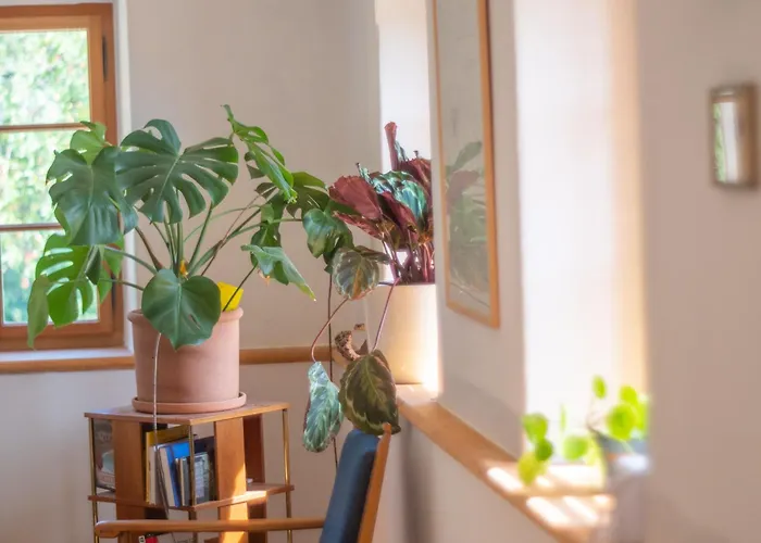 Trattnachtaler Weinhaus *